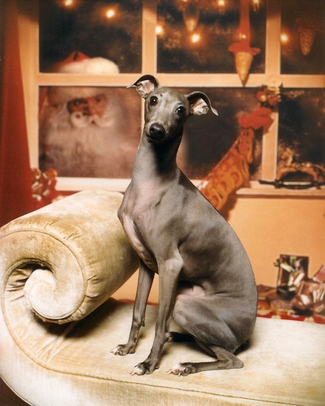 Photo Credit The Studio