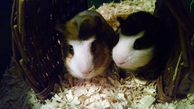 IMG_20150301_105920817-768068821