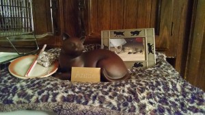 IMG_20150615_213719511