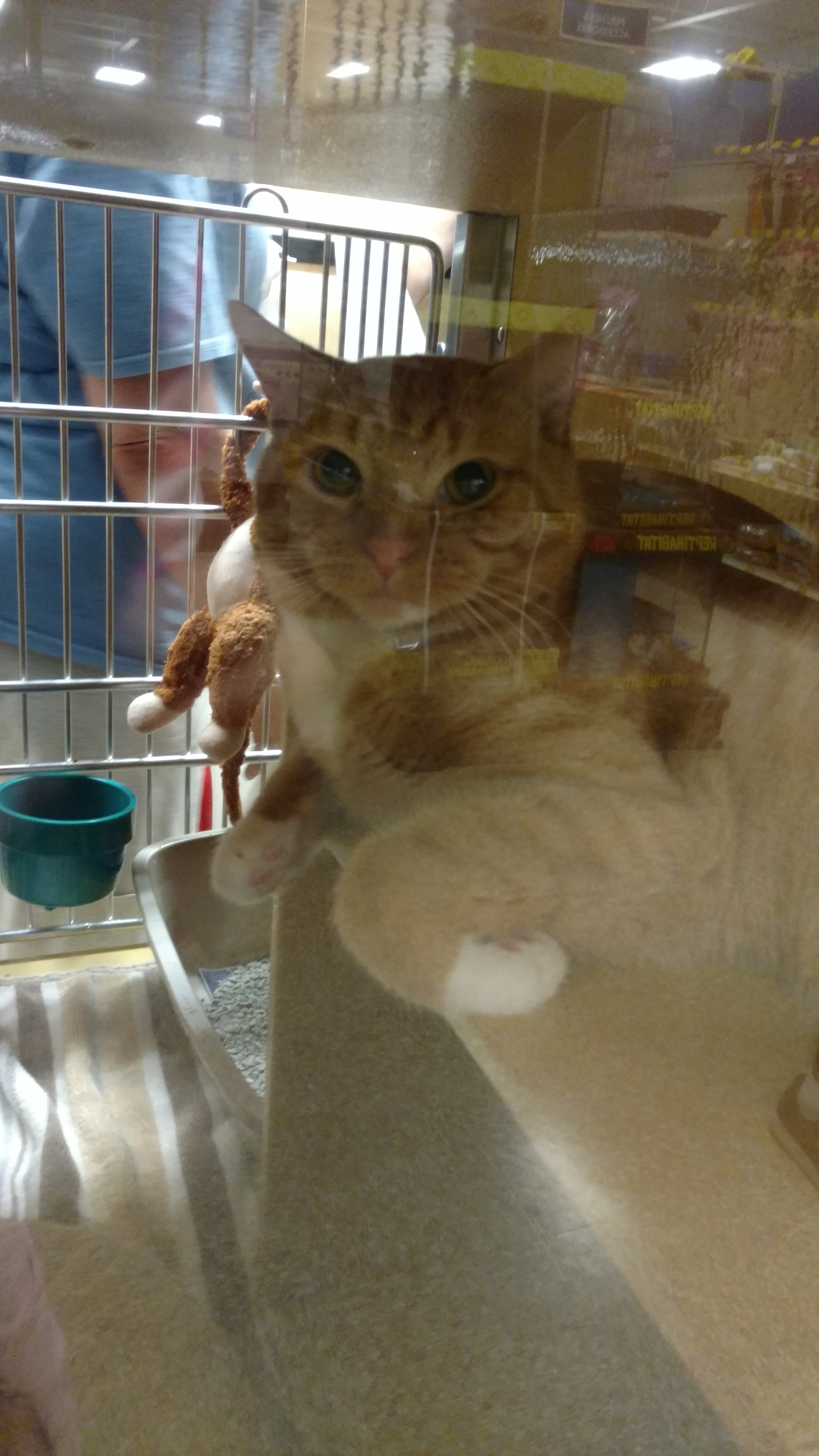 IMG_20160803_183743091