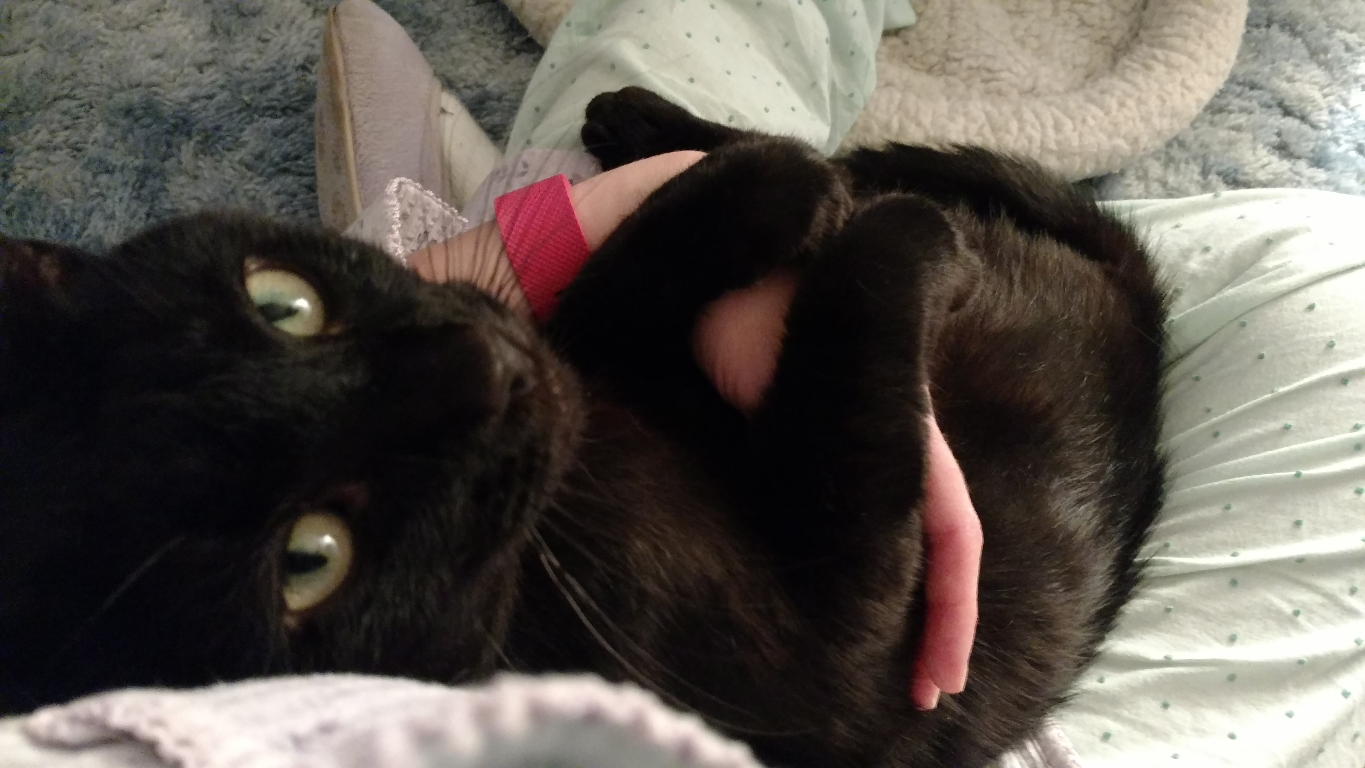 img_20160818_200127116