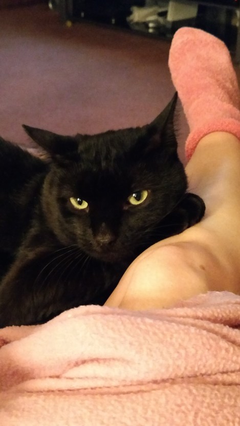 img_20160828_221600487