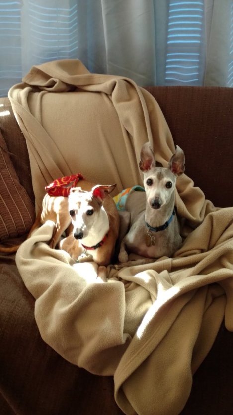 rsz_img_20160222_130524488