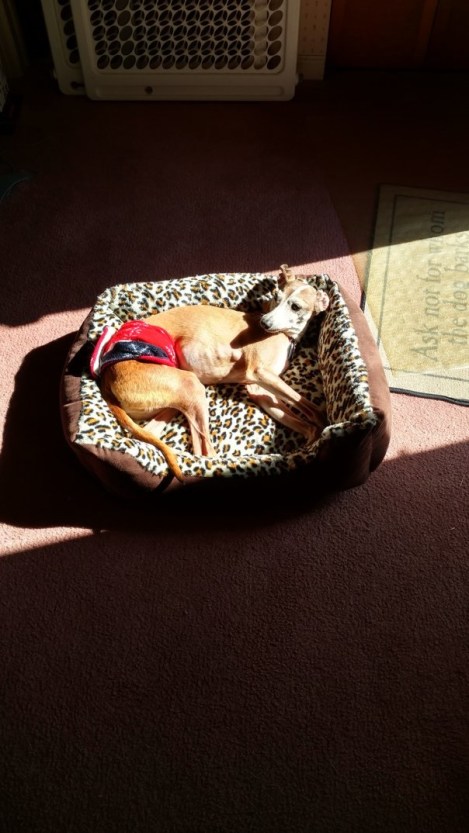 rsz_img_20170226_140555376_hdr