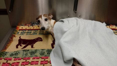 rsz_img_20170227_184802640