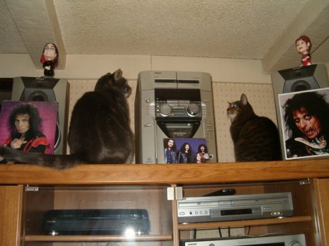 Happy Birthday Annie 2005