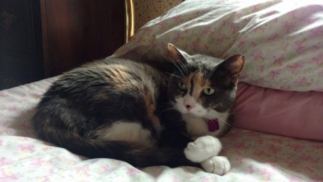 Mothers Day Madness (2)