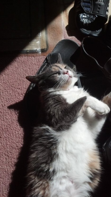 A Cautionary Tale (1)