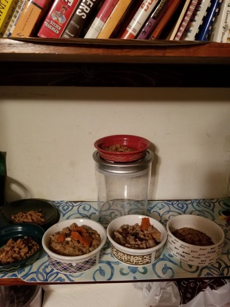 Meal Time Mayhem (2)