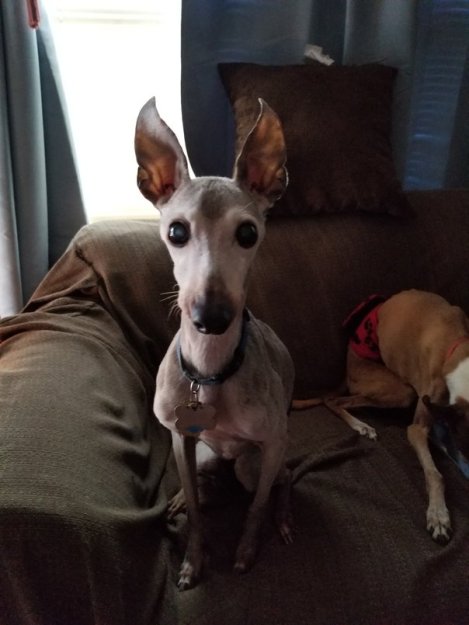 The Beat Goes On (1)