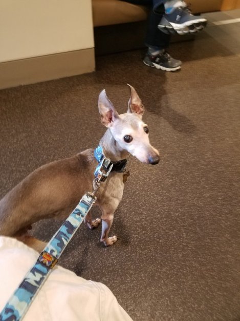 The Beat Goes On (2)