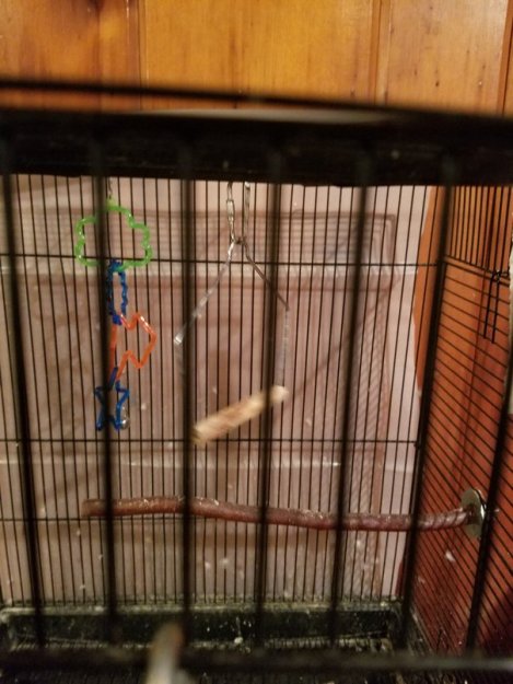 Priscilla Has Left the Building