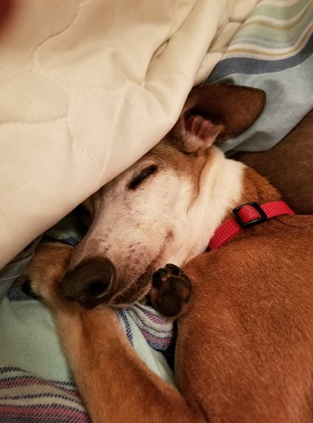 NIte NIte Bedtime (1)