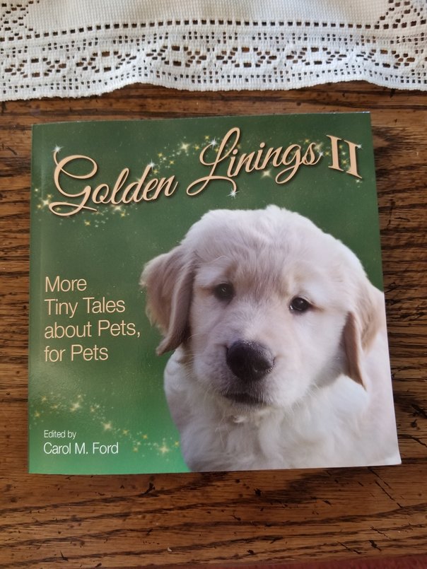 Exciting Announcement II