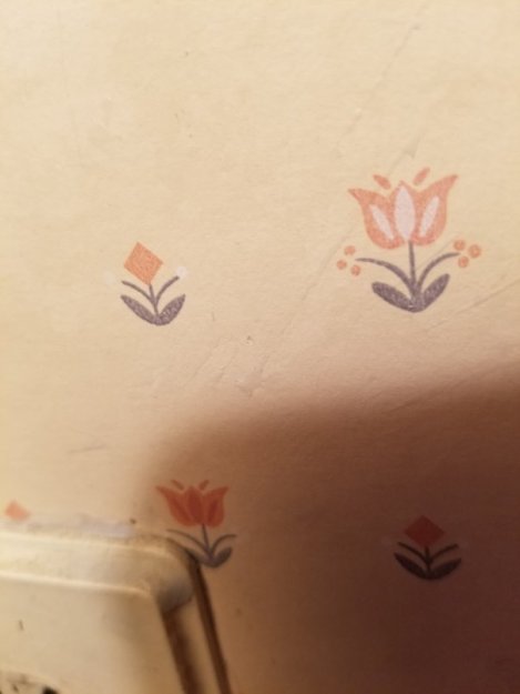 Tangled Up in Two Cords (Part Two) (2)