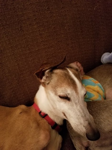 Tangled Up In Two (Part One) (1)