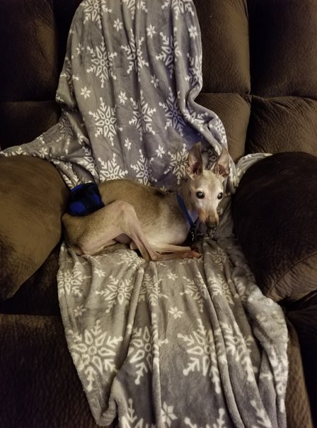 The Beat Still Goes On (1)