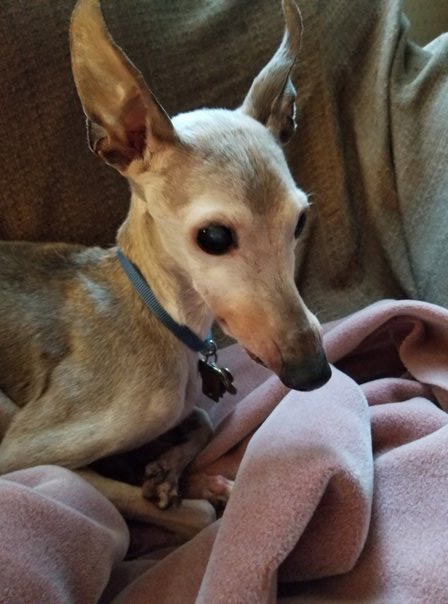 The Beat Still Goes On (2)